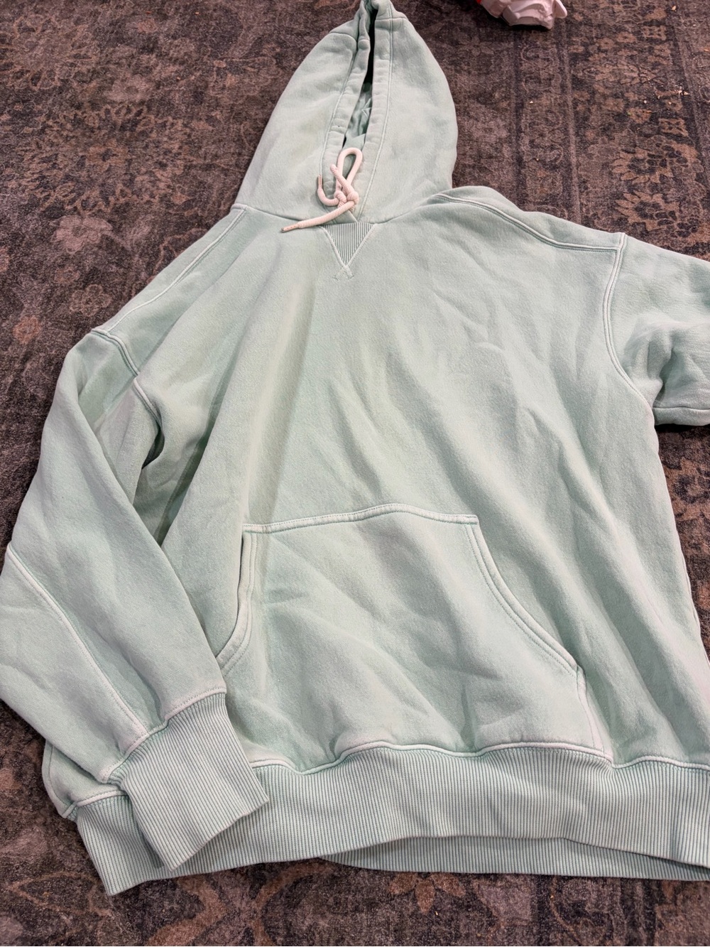 aerie Light Mint Hoodie Sweatshirt